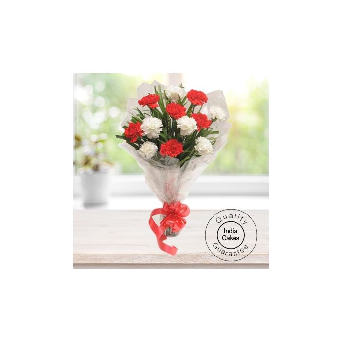 12 Red & White Carnations Bunch