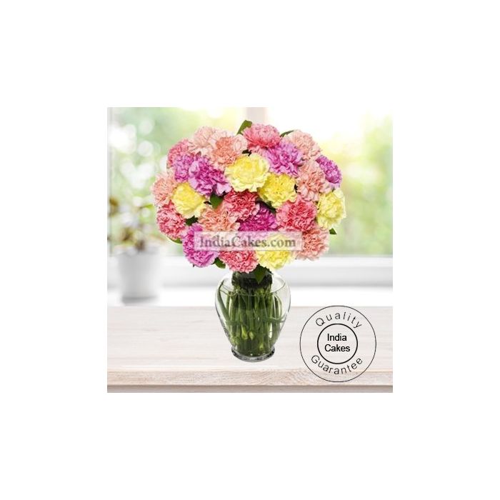 30 MIX CARNATIONS BUNCH