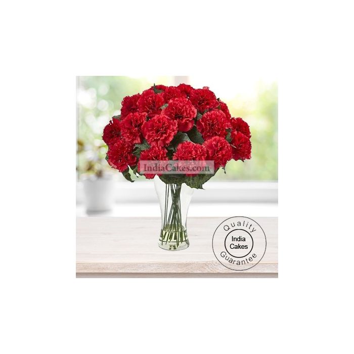 12 RED CARNATIONS WITH GLASS VASE