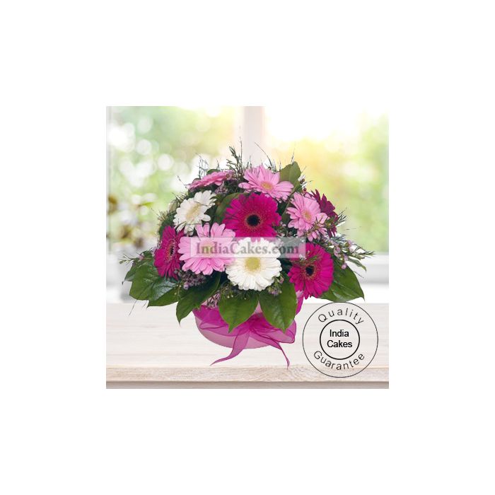 PINK AND WHITE GERBERAS BUNCH
