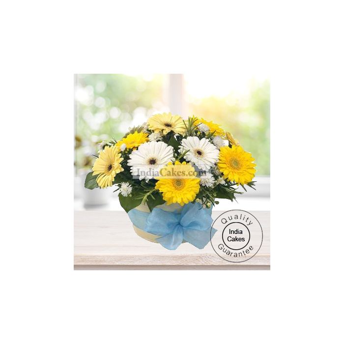 YELLOW AND WHITE GERBERAS BUNCH